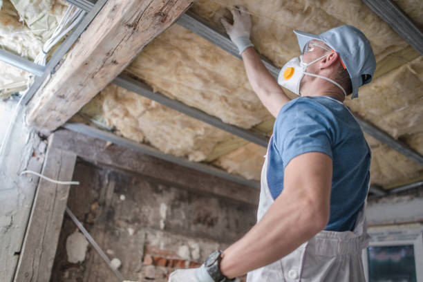 Best Energy-efficient Insulation  in Tropical Park, FL