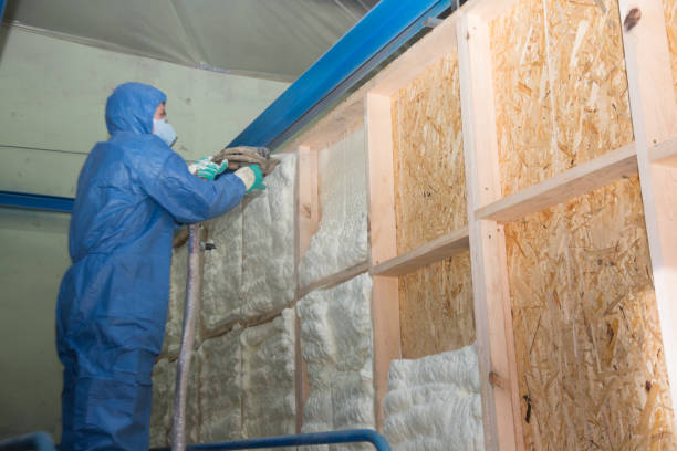 Best Wall Insulation Contractor  in Tropical Park, FL